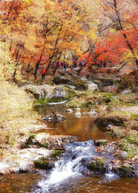 丹东天桥沟秋色