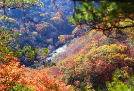 丹东天桥沟秋色