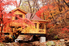 桓仁枫林谷秋色