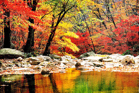 丹东天桥沟秋色