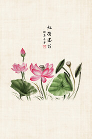 复古工笔画中国风