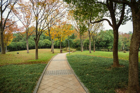 公园风景 