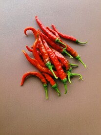辣椒