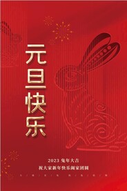 兔年 2023年 元旦海报