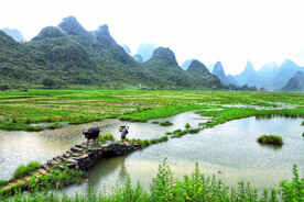 桂林会仙喀斯特国家湿地