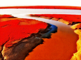 辽宁辽河口红海滩湿地