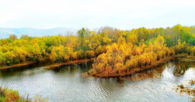 内蒙古额尔古纳湿地