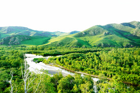 内蒙古额尔古纳湿地