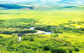 内蒙古额尔古纳湿地