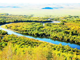 内蒙古额尔古纳湿地