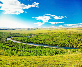内蒙古额尔古纳湿地