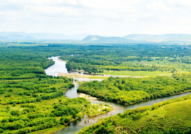 内蒙古额尔古纳湿地