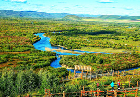 内蒙古额尔古纳湿地