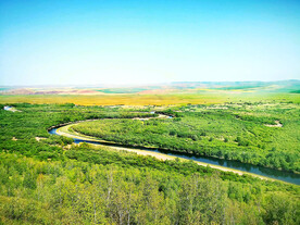 内蒙古额尔古纳湿地