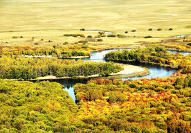内蒙古额尔古纳湿地