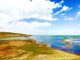 青海扎陵湖湿地