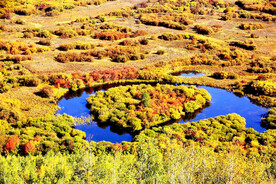 内蒙古额尔古纳湿地