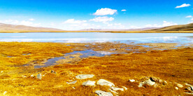 青海扎陵湖湿地
