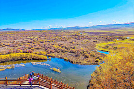 内蒙古额尔古纳湿地