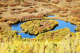 内蒙古额尔古纳湿地
