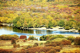 内蒙古额尔古纳湿地