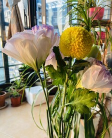阳台上的鲜花
