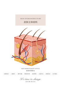 皮肤 
