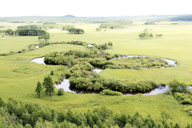 黑龙江南瓮河湿地