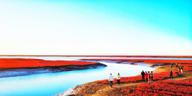 辽宁辽河口红海滩湿地