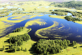 黑龙江南瓮河湿地