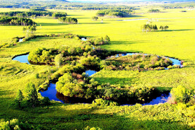 黑龙江南瓮河湿地