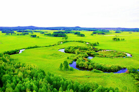 黑龙江南瓮河湿地