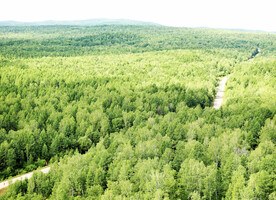 黑龙江南瓮河湿地