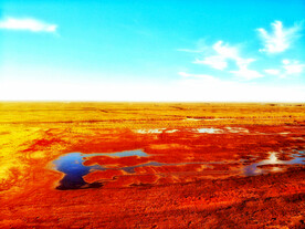 辽宁辽河口红海滩湿地