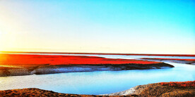 辽宁辽河口红海滩湿地