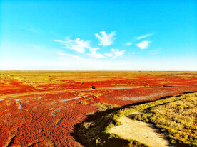 辽宁辽河口红海滩湿地