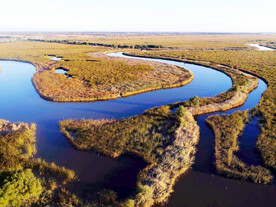 辽宁辽河口红海滩湿地
