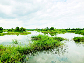 辽宁辽河七星湿地