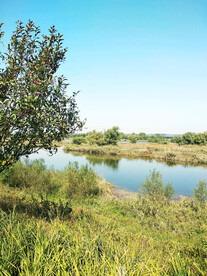 辽宁辽河七星湿地