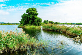 辽宁辽河七星湿地