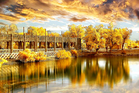 新疆巴楚红海湿地公园