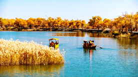 新疆巴楚红海湿地公园