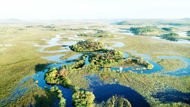 黑龙江南瓮河湿地