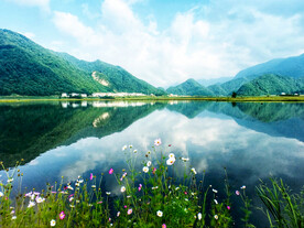 湖北大九湖湿地