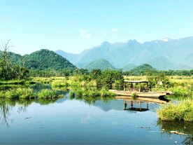 湖北大九湖湿地