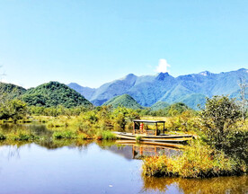 湖北大九湖湿地