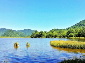 湖北大九湖湿地