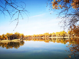 新疆巴楚红海湿地公园