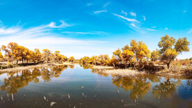 新疆巴楚红海湿地