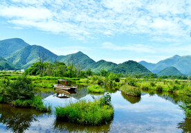湖北大九湖湿地